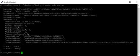 become a dash master node|Masternode Setup — Dash latest documentation.